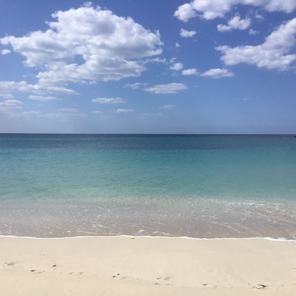 Meet your Posher, Josee - Picture 1 of 1